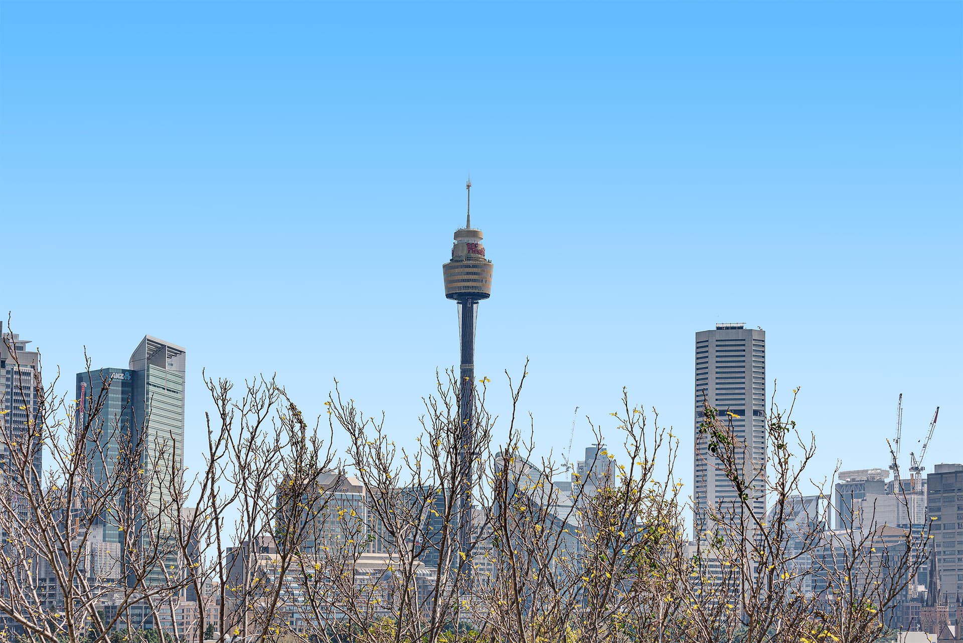 271 Forbes Street, Darlinghurst NSW