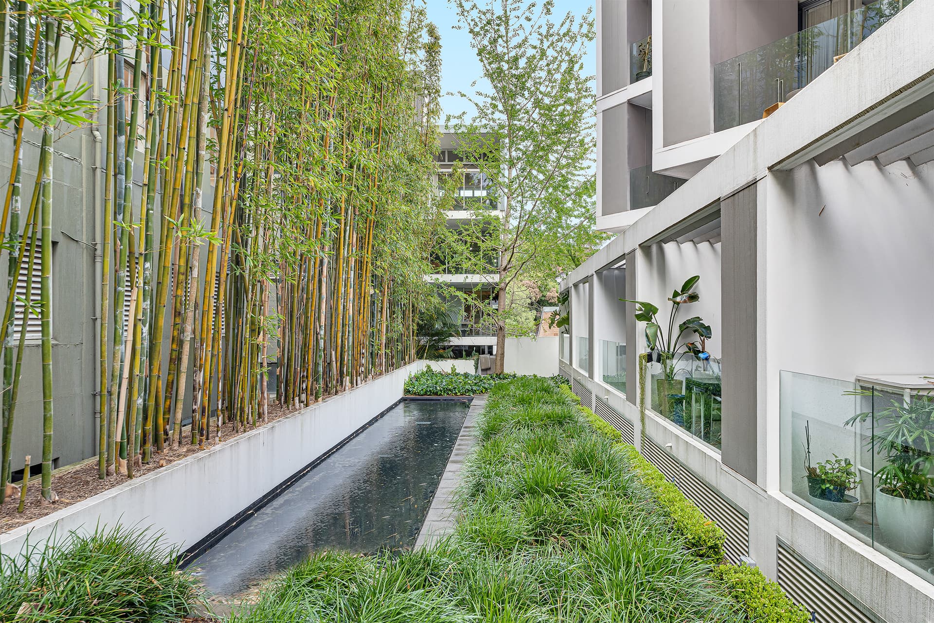 207/138 Barcom Avenue, Darlinghurst NSW