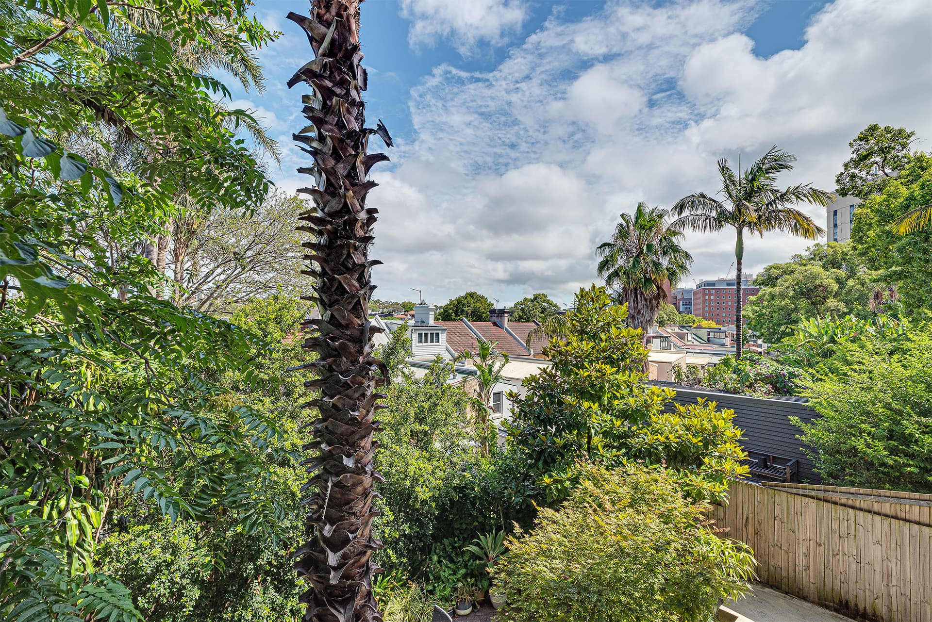 3/48 Surrey Street, Darlinghurst NSW