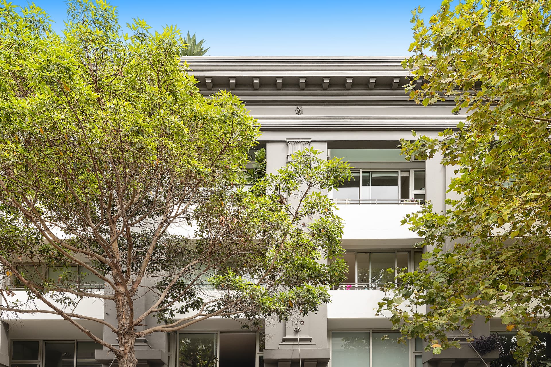 110/241-247 Crown Street, Darlinghurst NSW