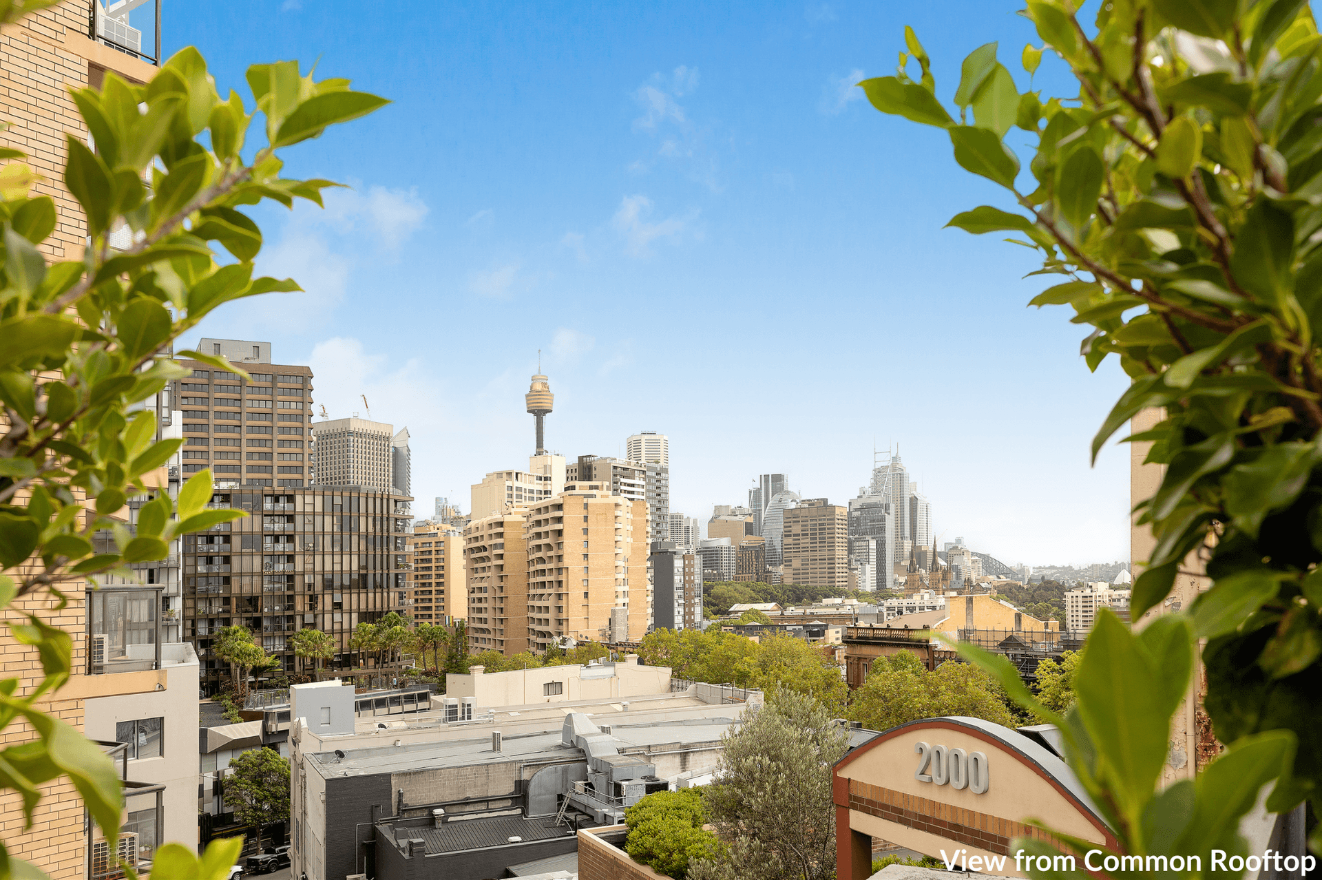 110/241-247 Crown Street, Darlinghurst NSW