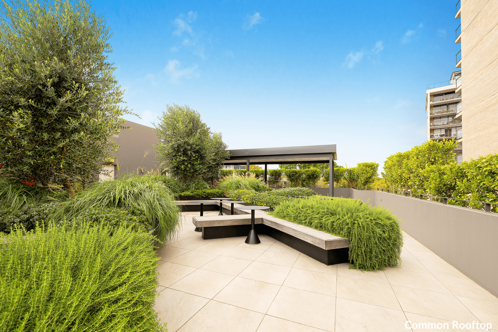 110/241-247 Crown Street, Darlinghurst NSW