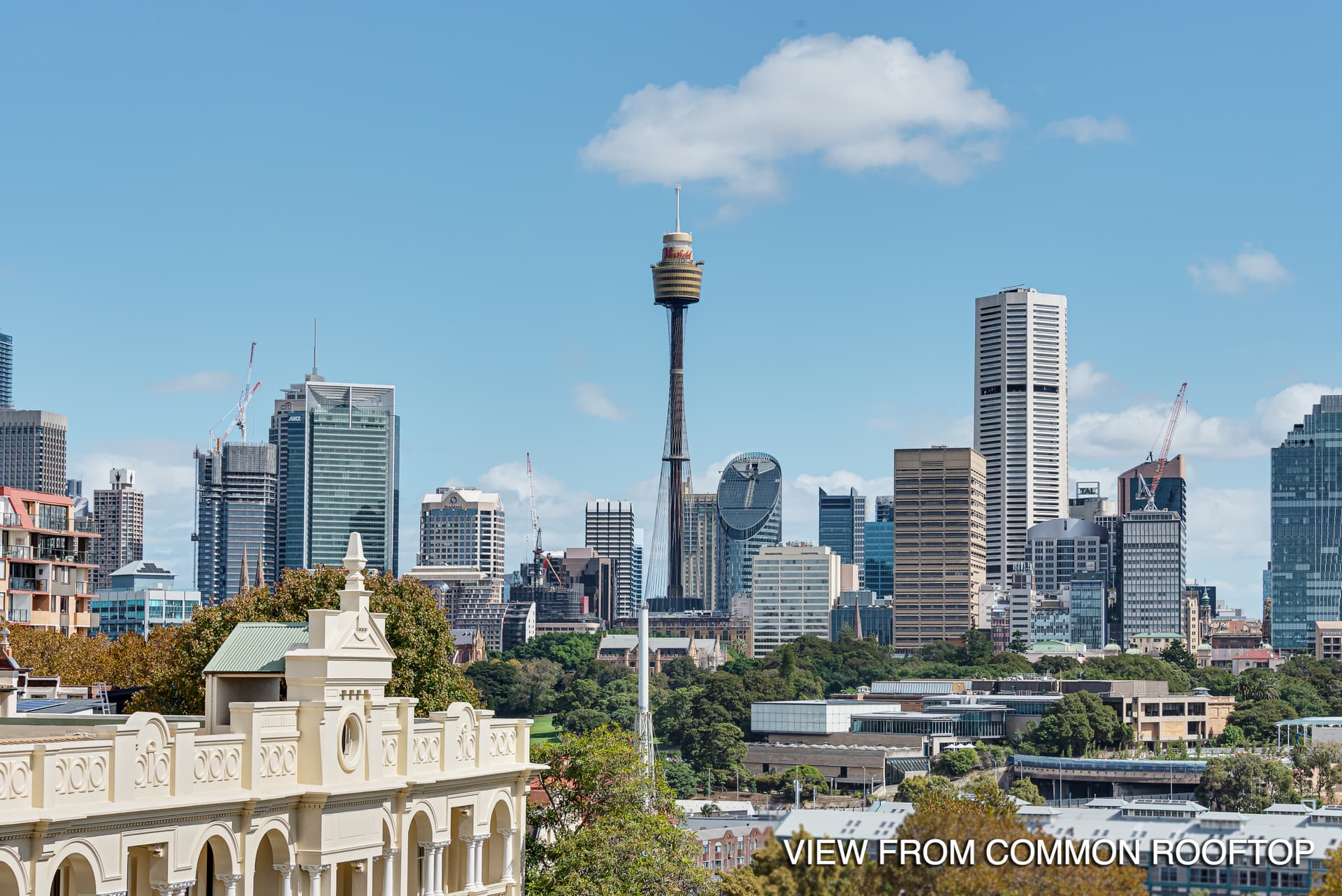 3/10C Challis Avenue, Potts Point NSW
