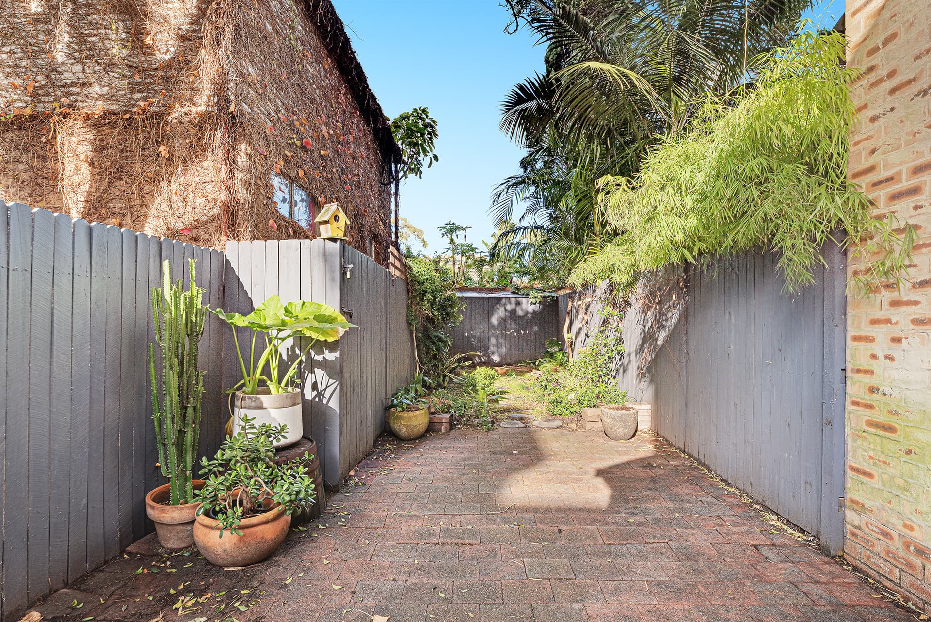 11 Chelsea Street, Redfern NSW