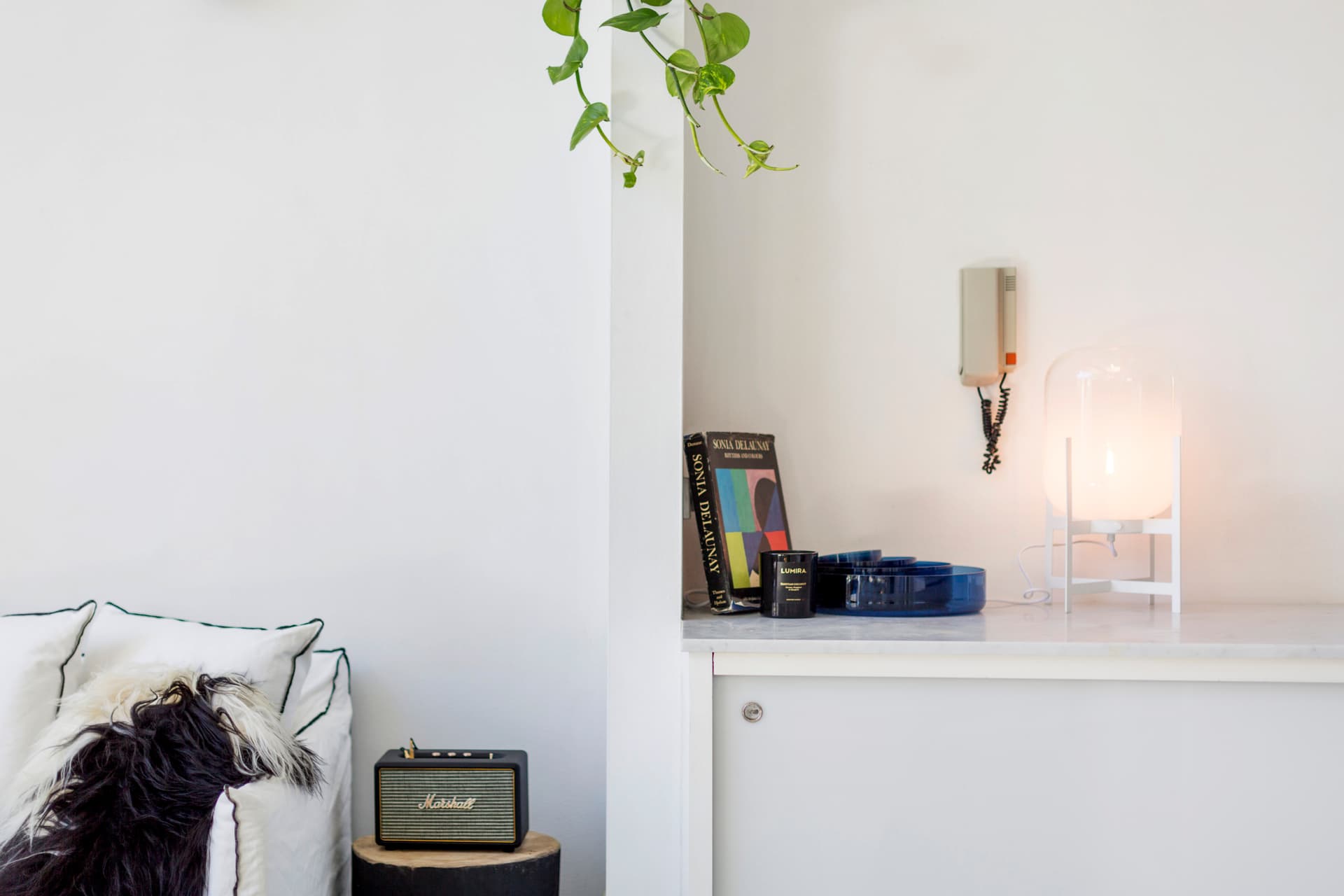 19/15-27 Hutchinson Street, Surry Hills NSW