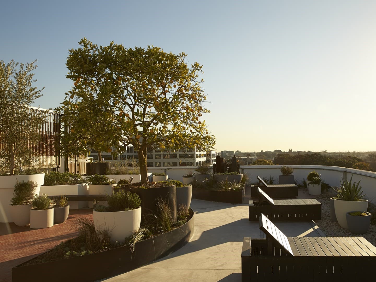 210/1A Great Buckingham Street, Redfern NSW