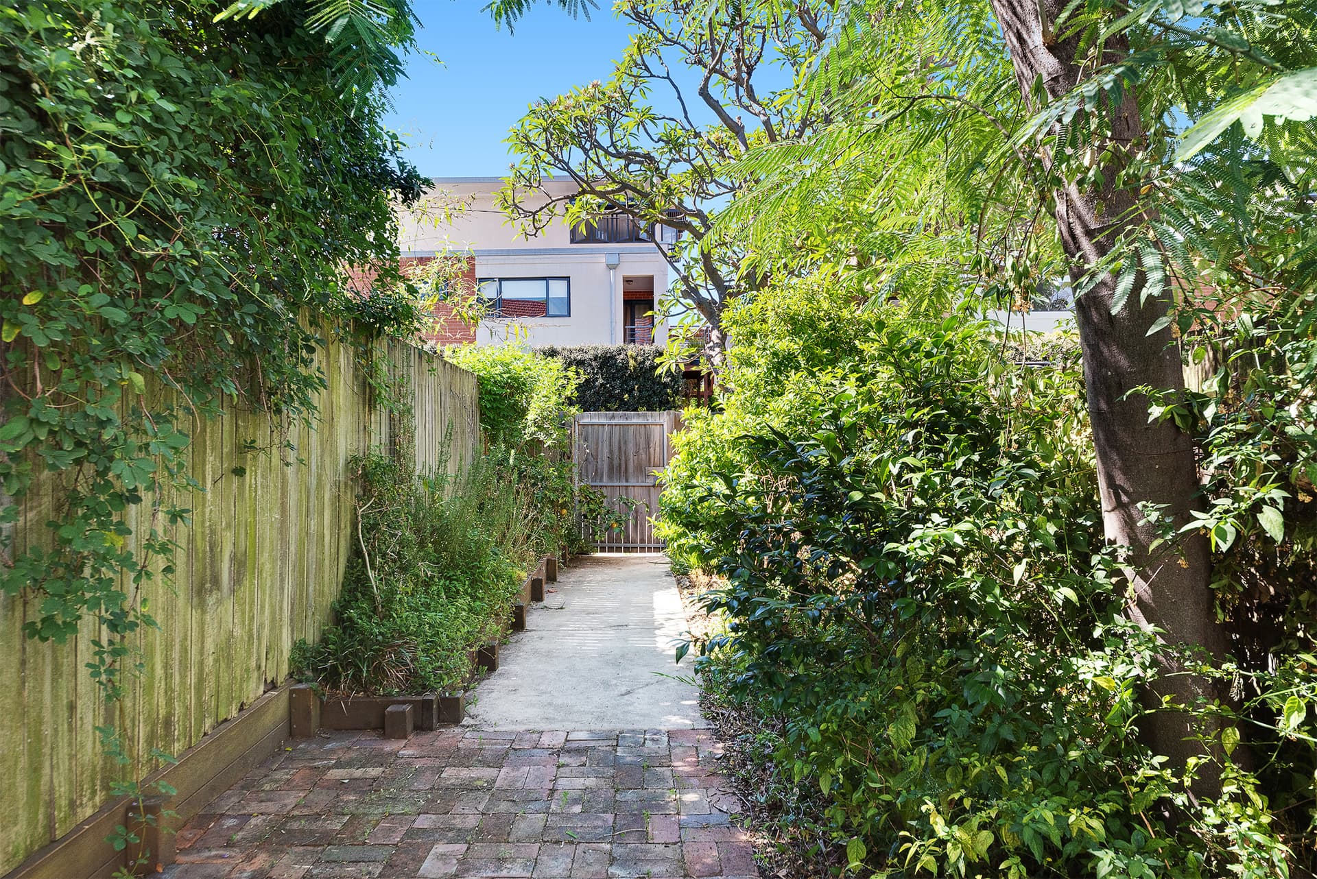 53 Fowler Street, Camperdown NSW