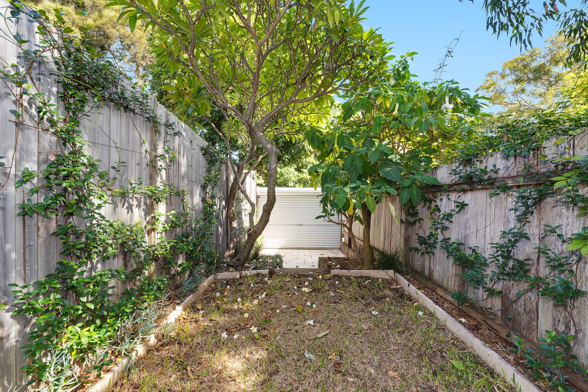 34 Edward Street, Darlington NSW