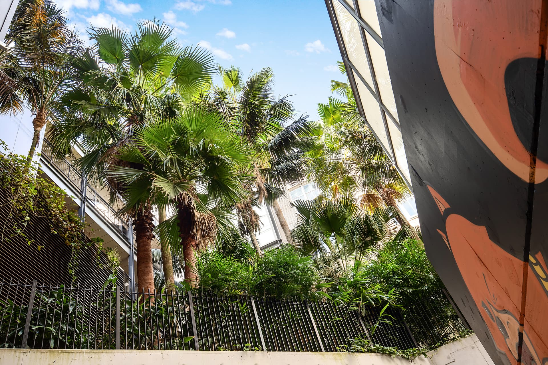 204/117 Kippax Street, Surry Hills NSW