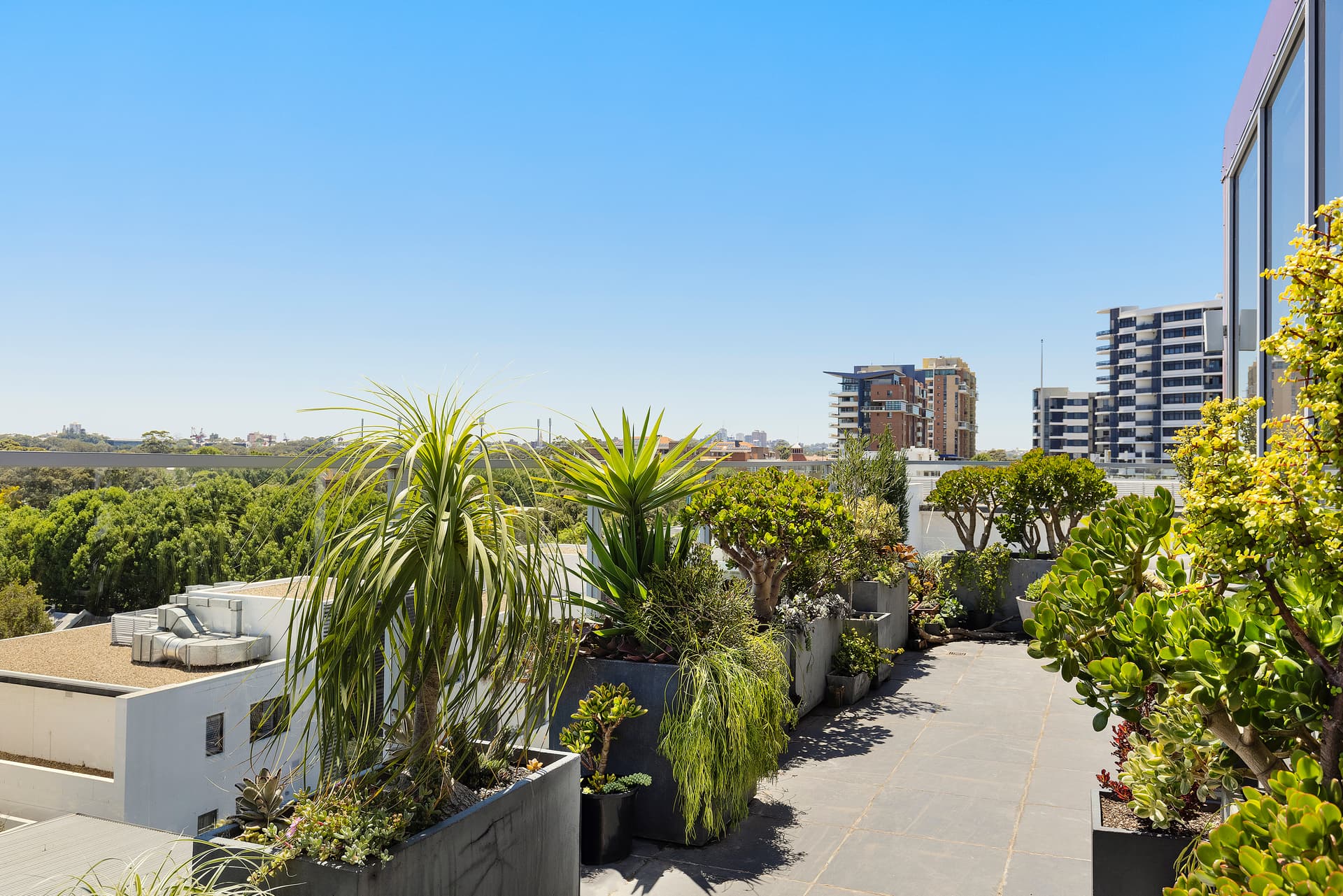 444/169-175 Phillip Street, Waterloo NSW