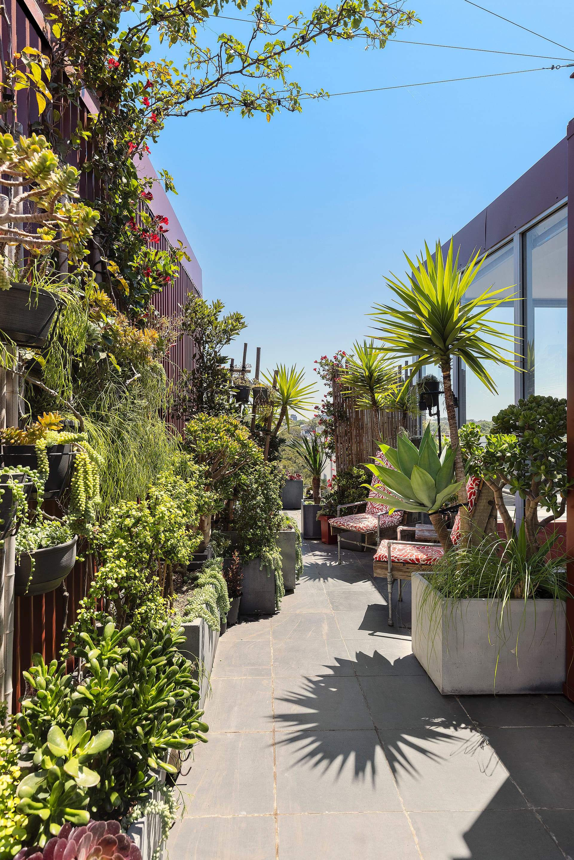 444/169-175 Phillip Street, Waterloo NSW