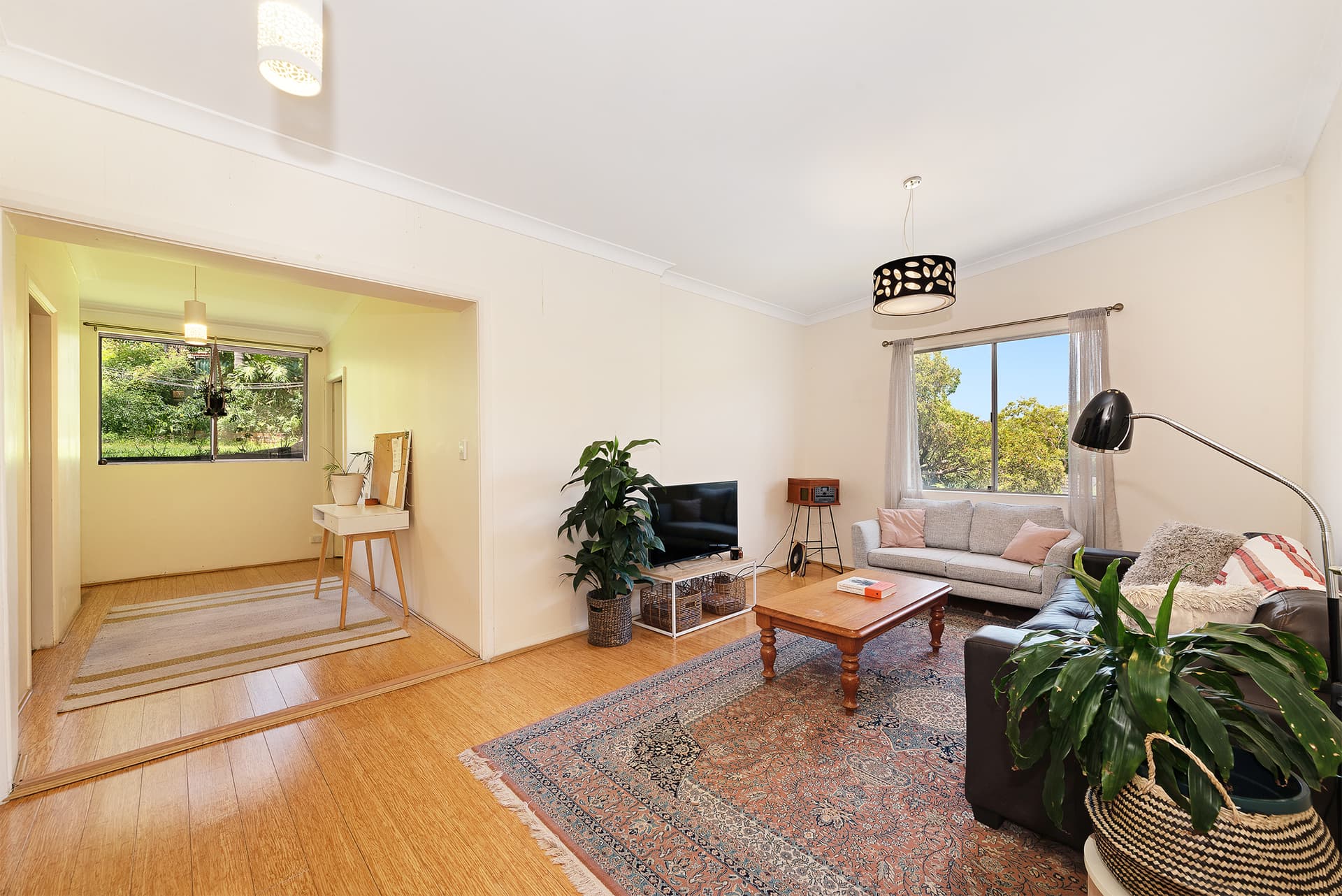 20 Pritchard Street, Annandale NSW