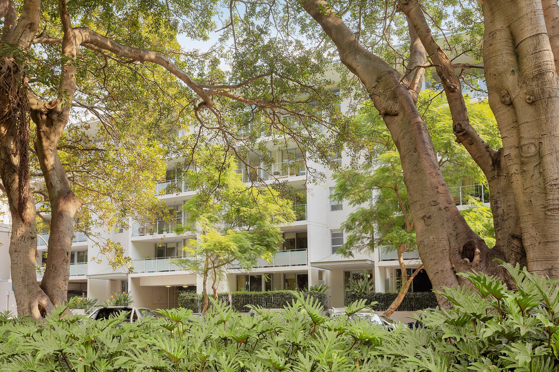 71/249 Chalmers Street, Redfern NSW