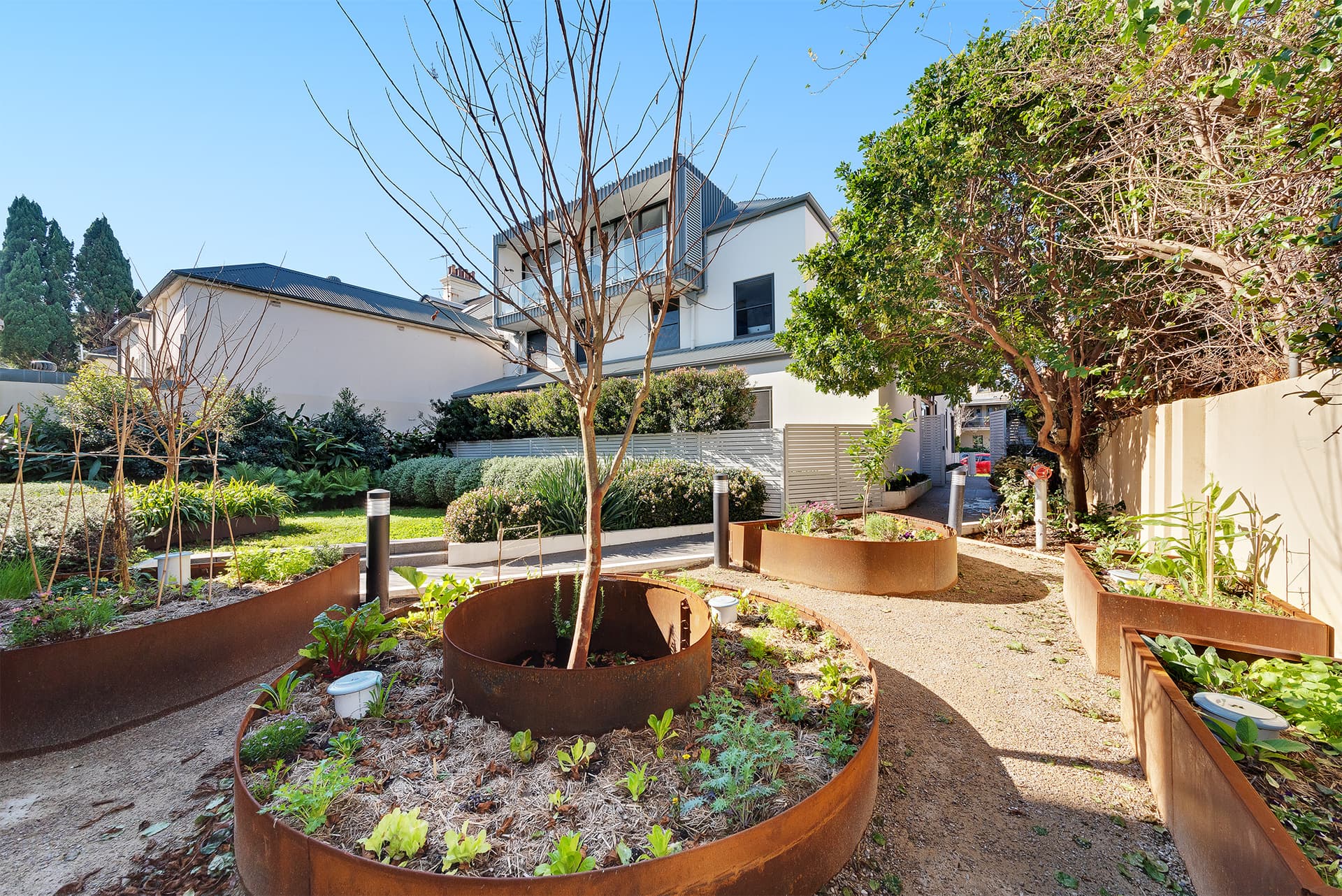 2/52 Pitt Street, Redfern NSW