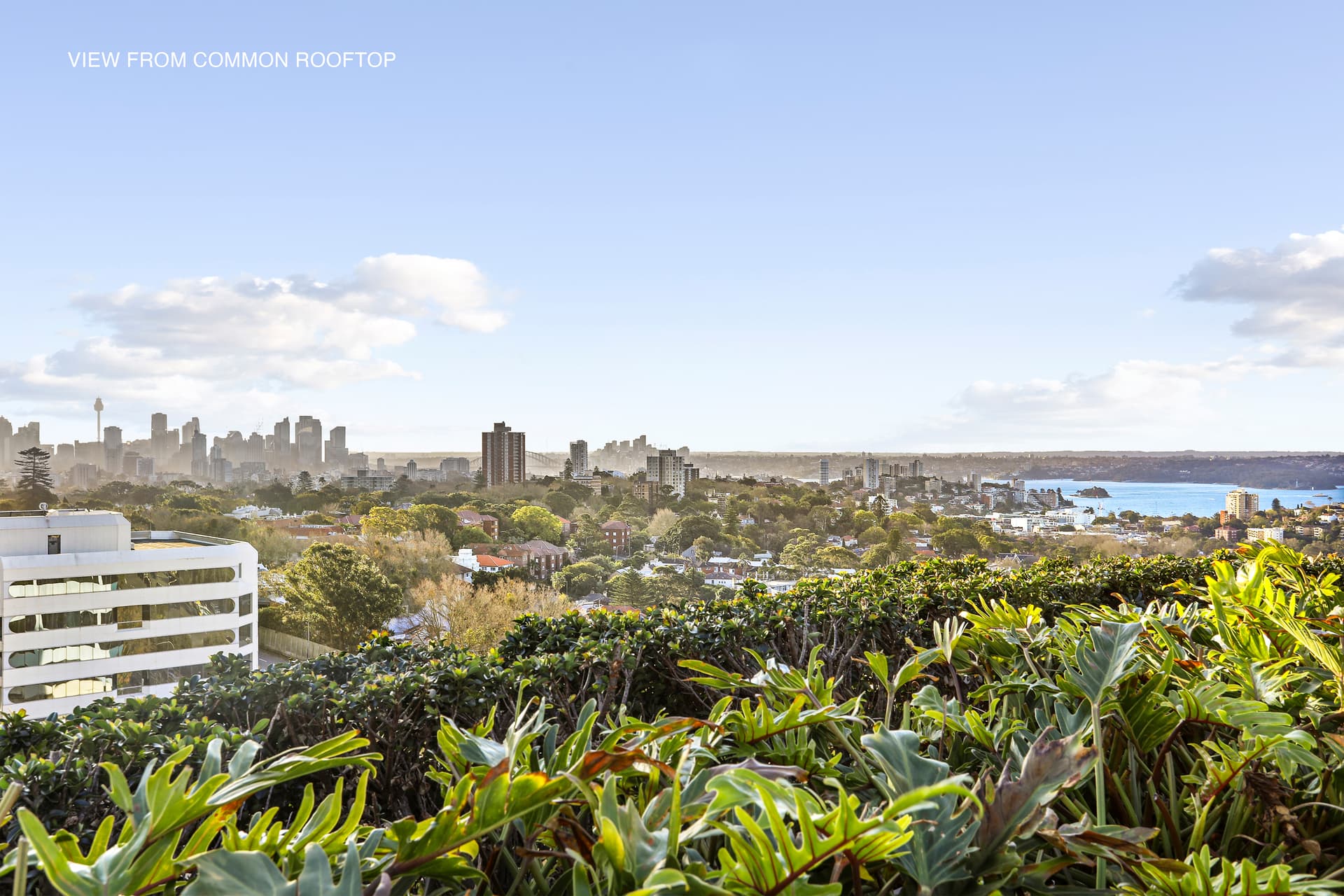 101/350 Oxford Street, Bondi Junction NSW