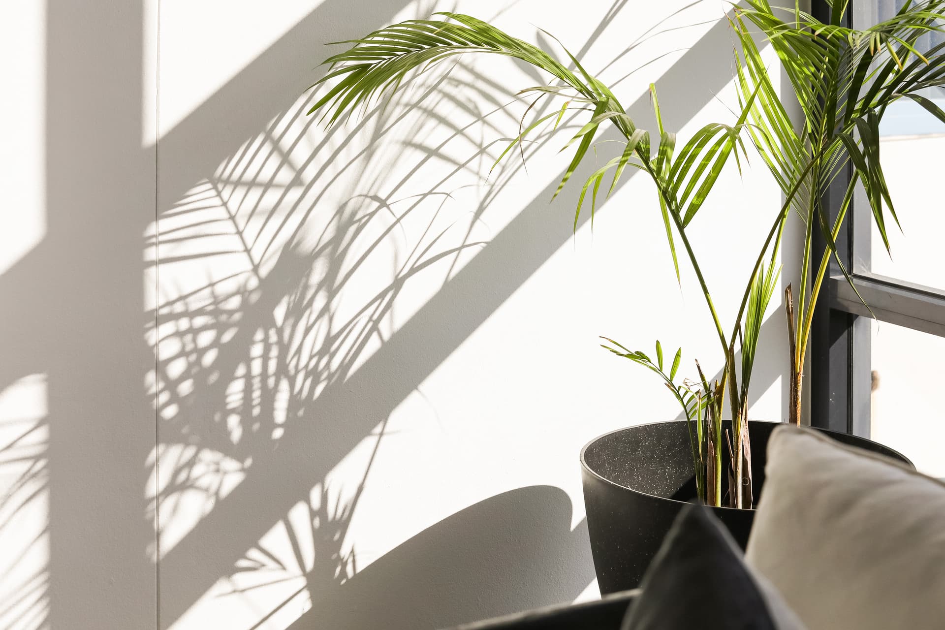 D1510/780 Bourke Street, Redfern NSW