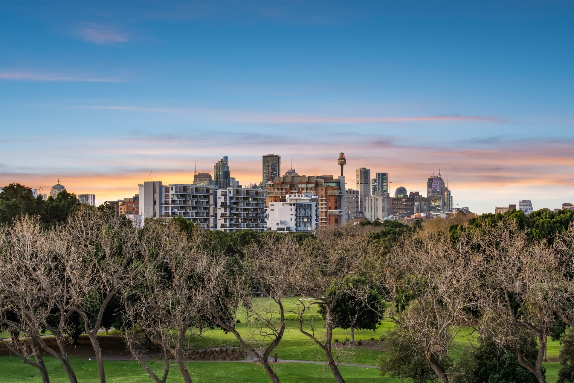 1003/97 Brompton Road, Kensington NSW