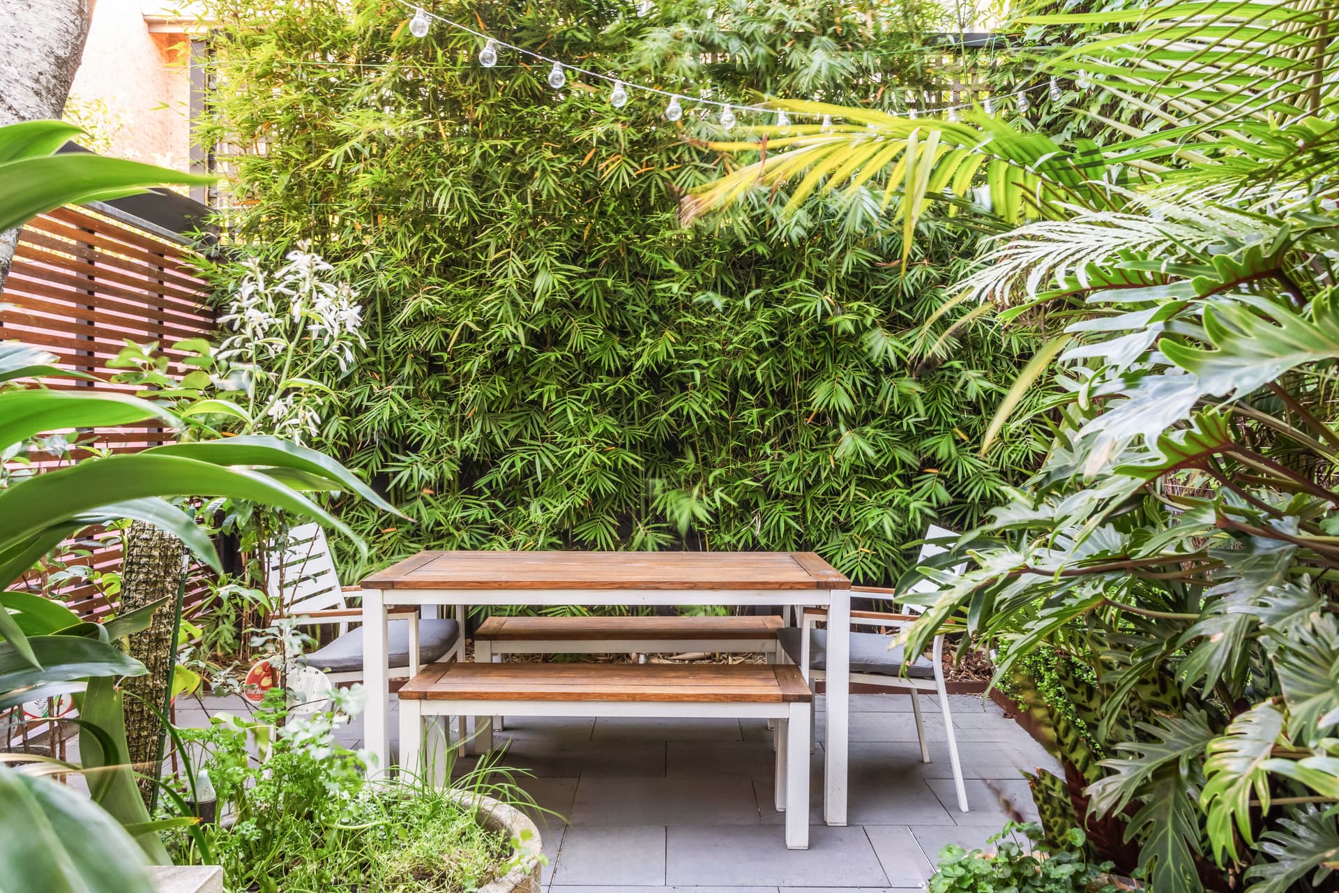 179 Albion Street, Surry Hills NSW