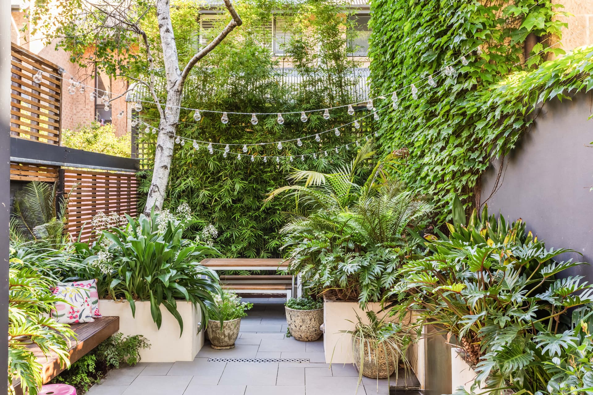 179 Albion Street, Surry Hills NSW