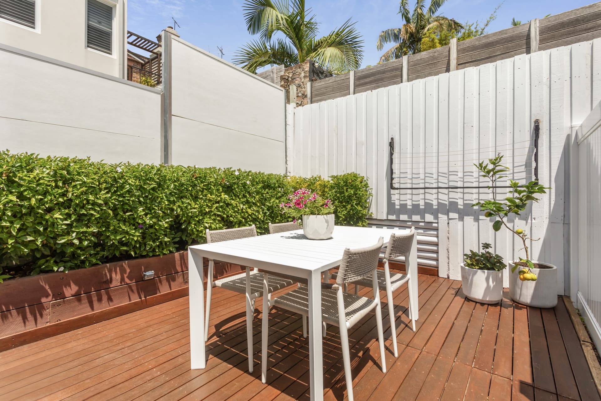 6 Goodmans Terrace, Surry Hills NSW