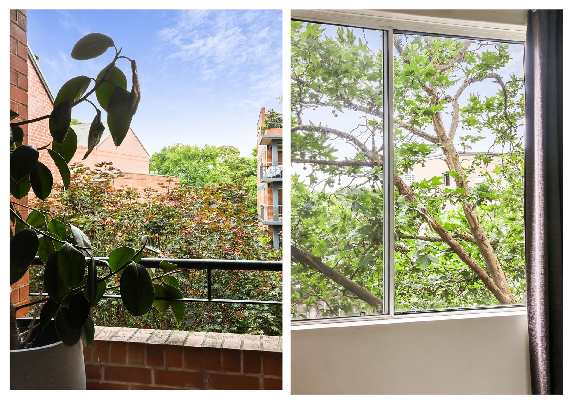 17/127 Albion Street, Surry Hills NSW