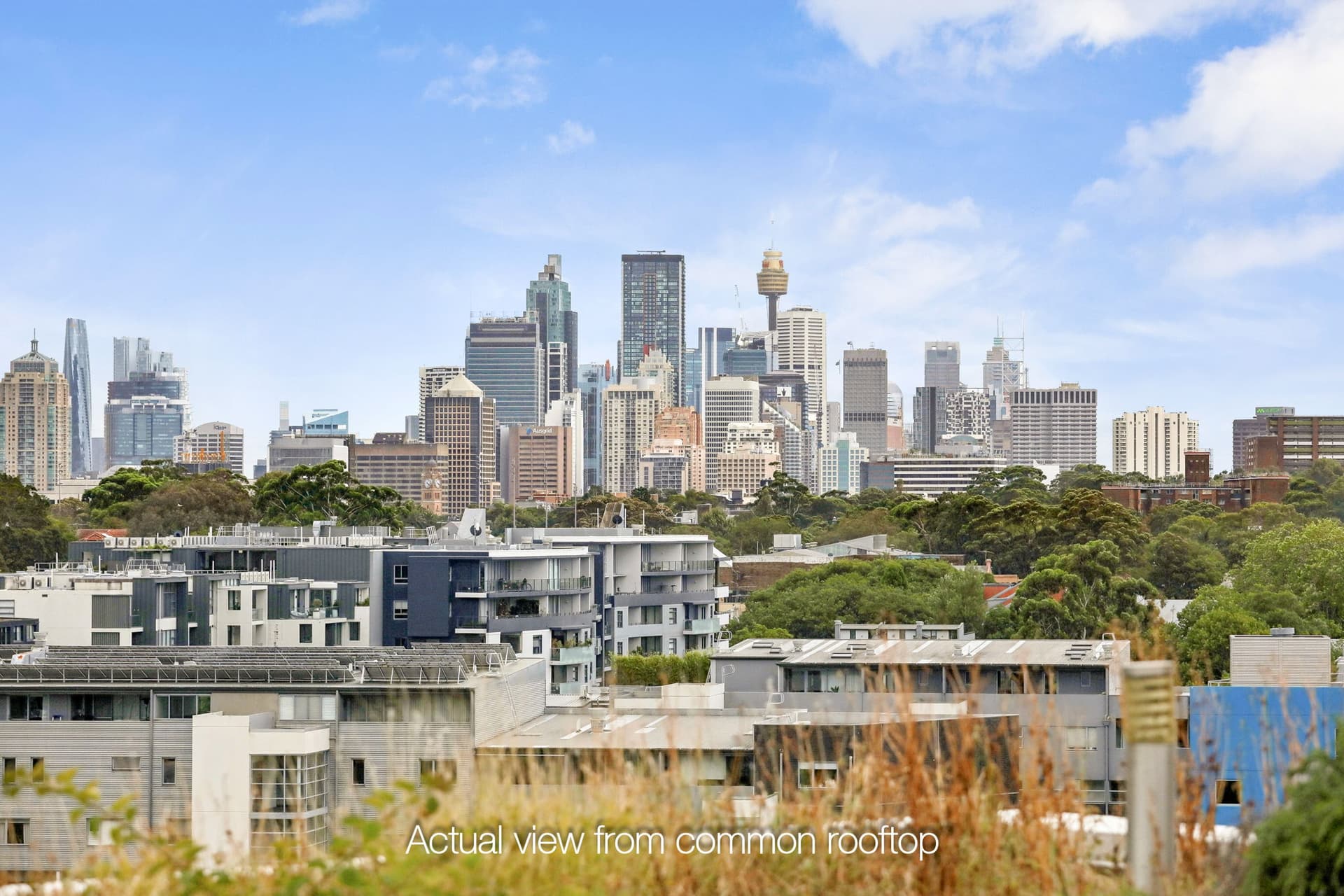 2603/6 Kingsborough Way, Zetland NSW