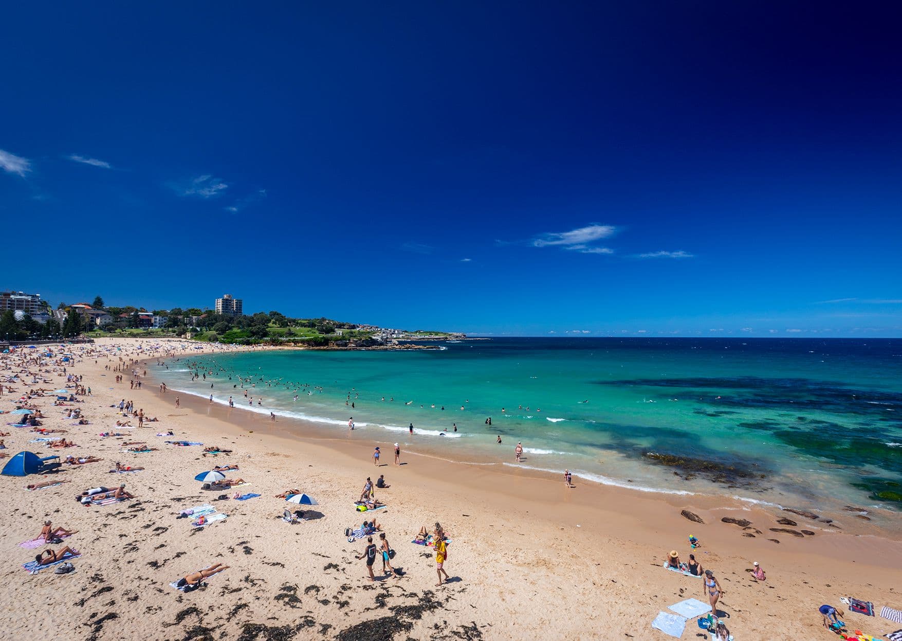 3/16 Asher Street, Coogee NSW