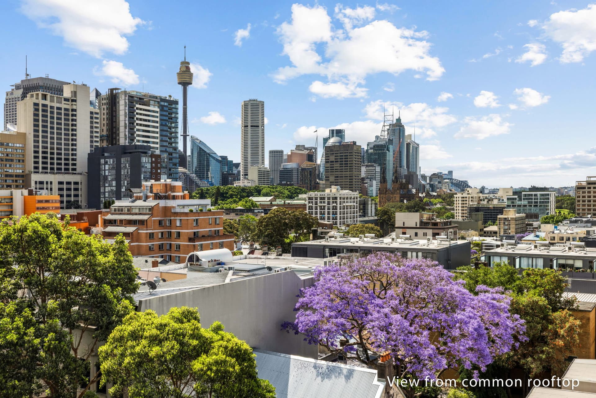 10/227 Crown Street, Darlinghurst NSW