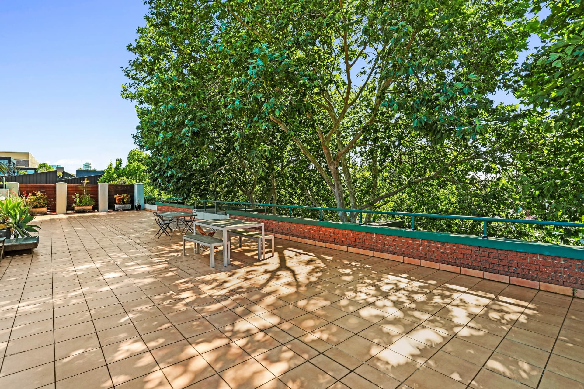 11/9-19 Nickson Street, Surry Hills NSW