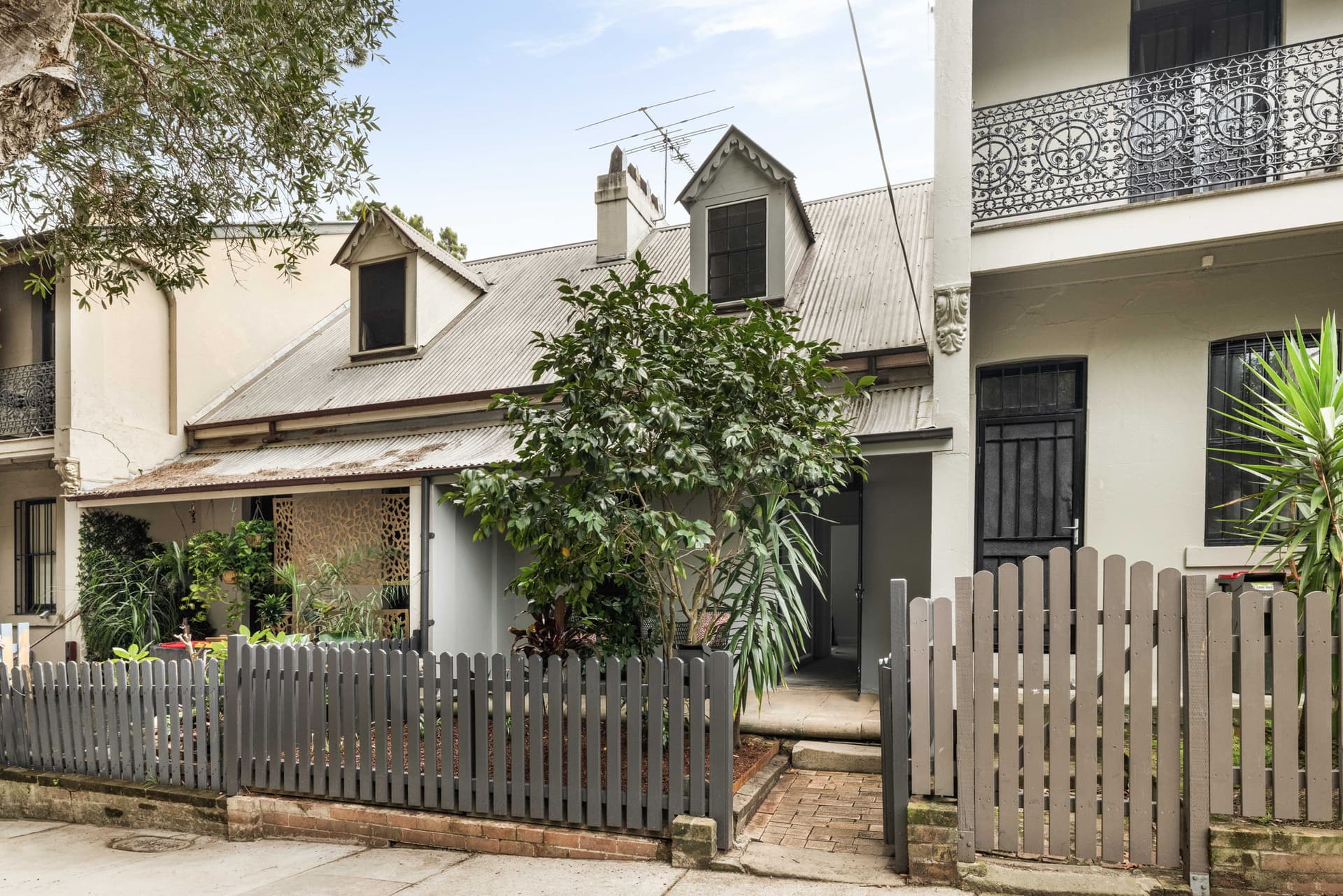 57 Wellington Street, Waterloo NSW