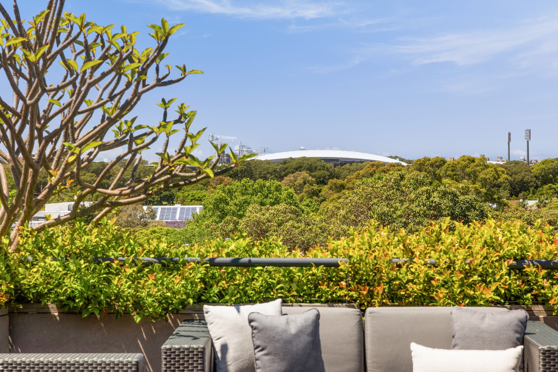 26/500 Crown Street, Surry Hills NSW