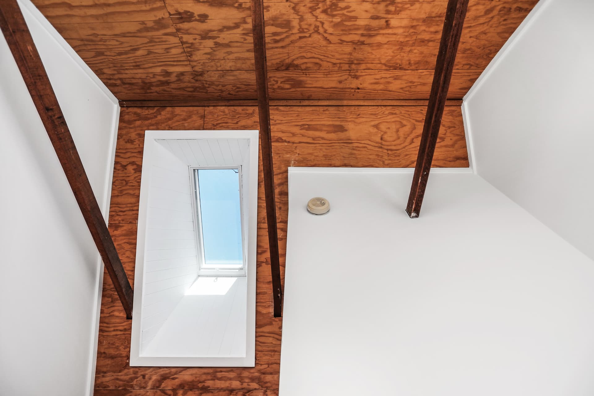 59 Wells Street, Redfern NSW