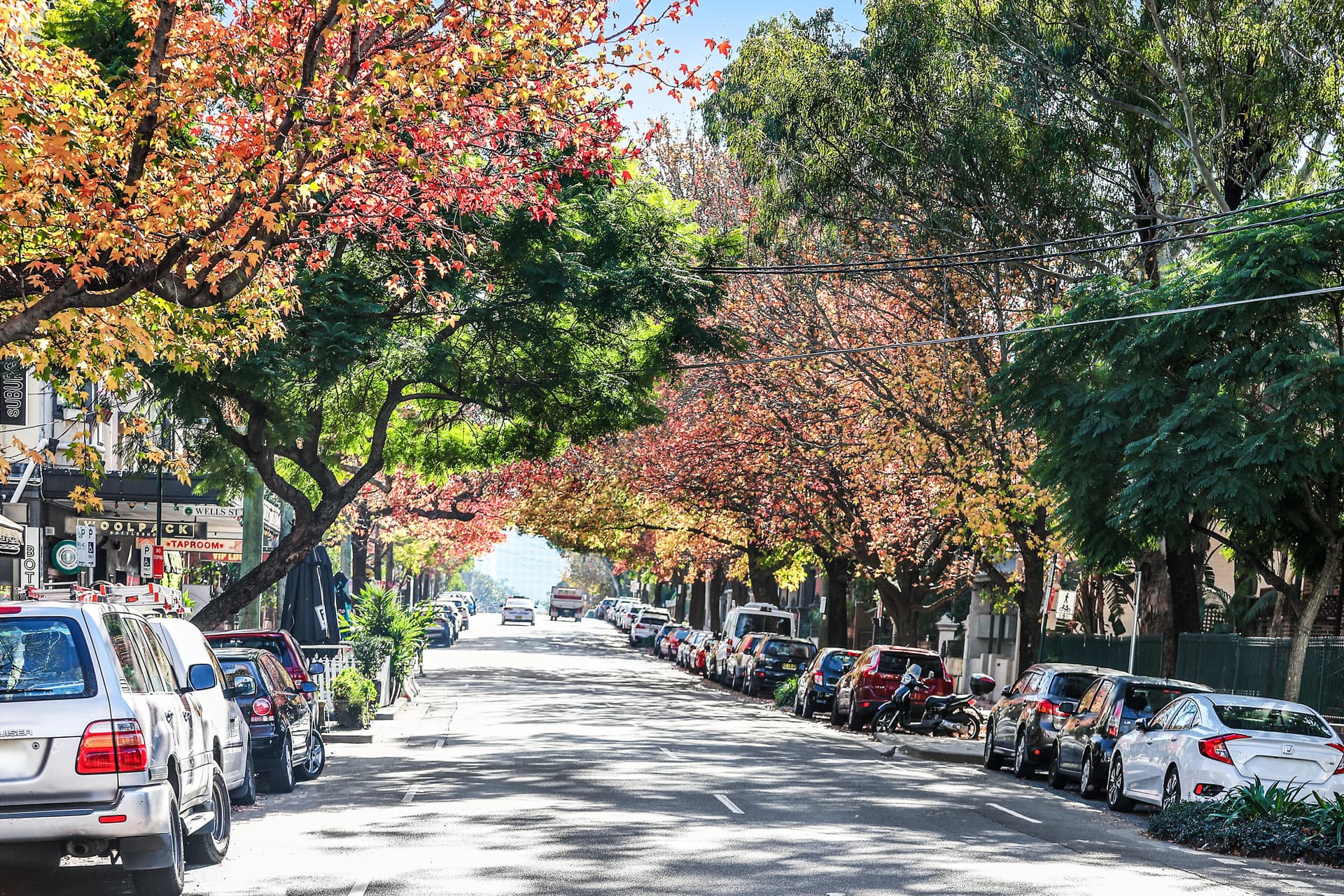 80/219 Chalmers Street, Redfern NSW