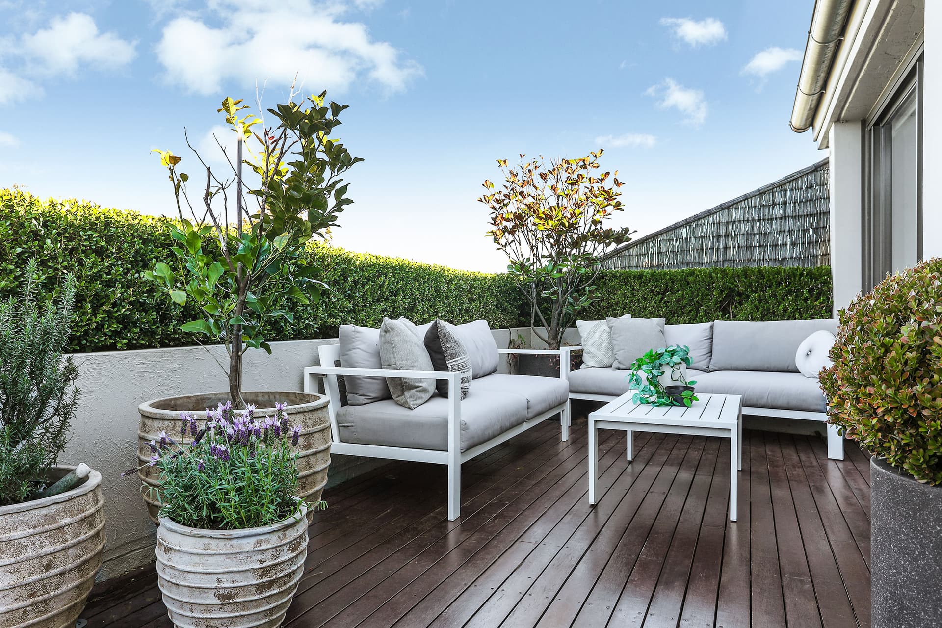 20/500 Crown Street, Surry Hills NSW