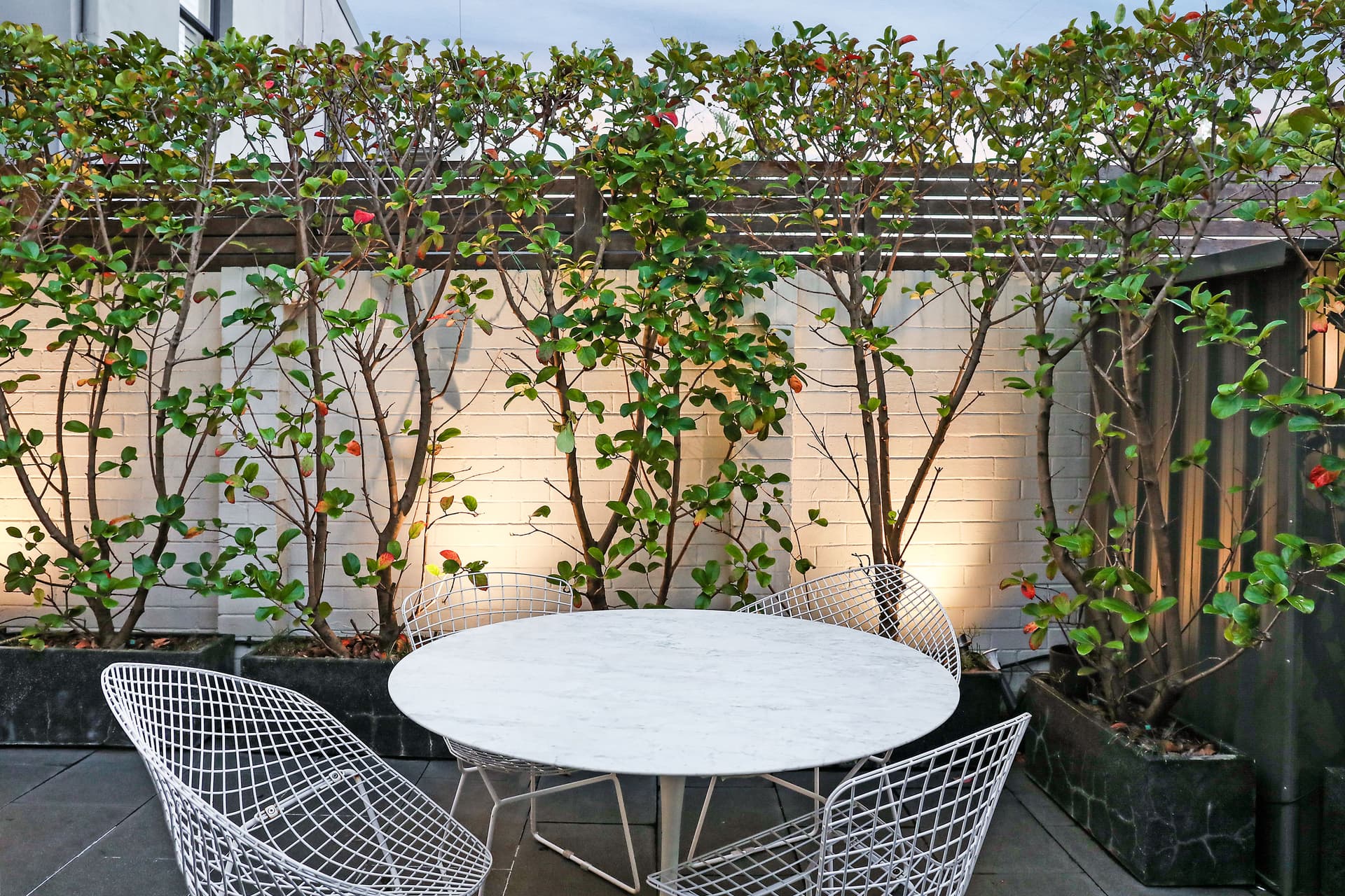 107 Baptist Street, Redfern NSW