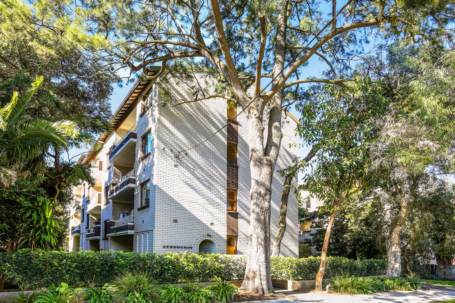 8/37-39 Forsyth Street, Kingsford NSW