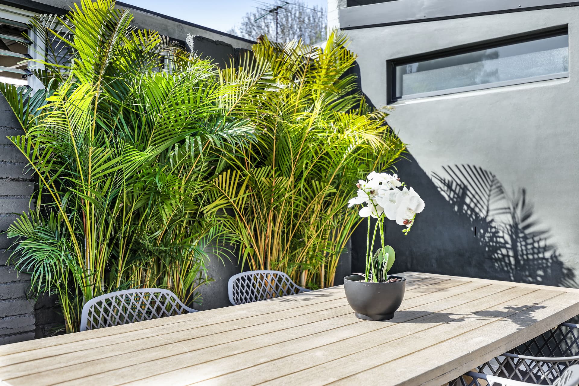 152 Baptist Street, Redfern NSW