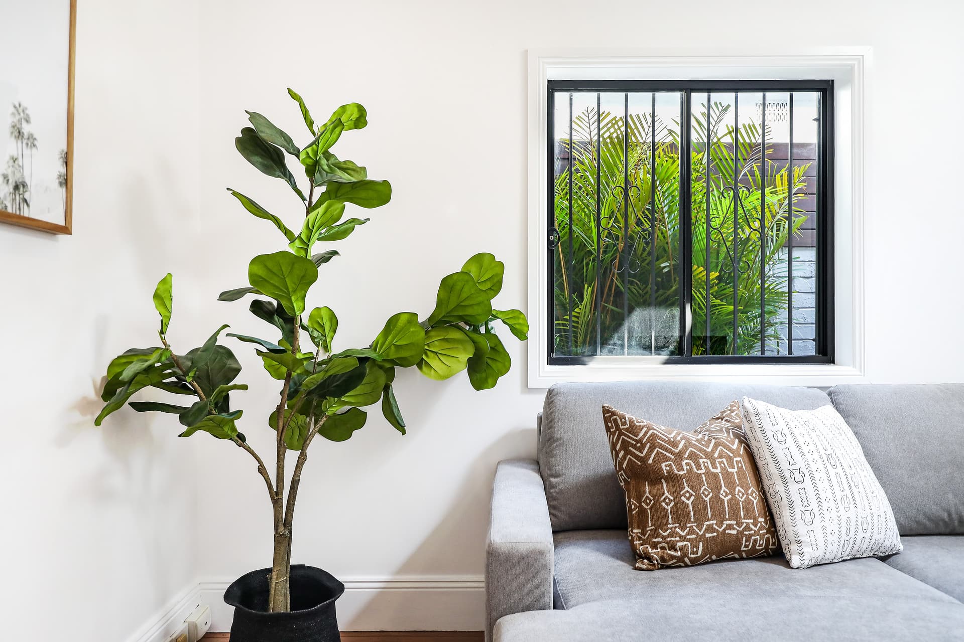 152 Baptist Street, Redfern NSW