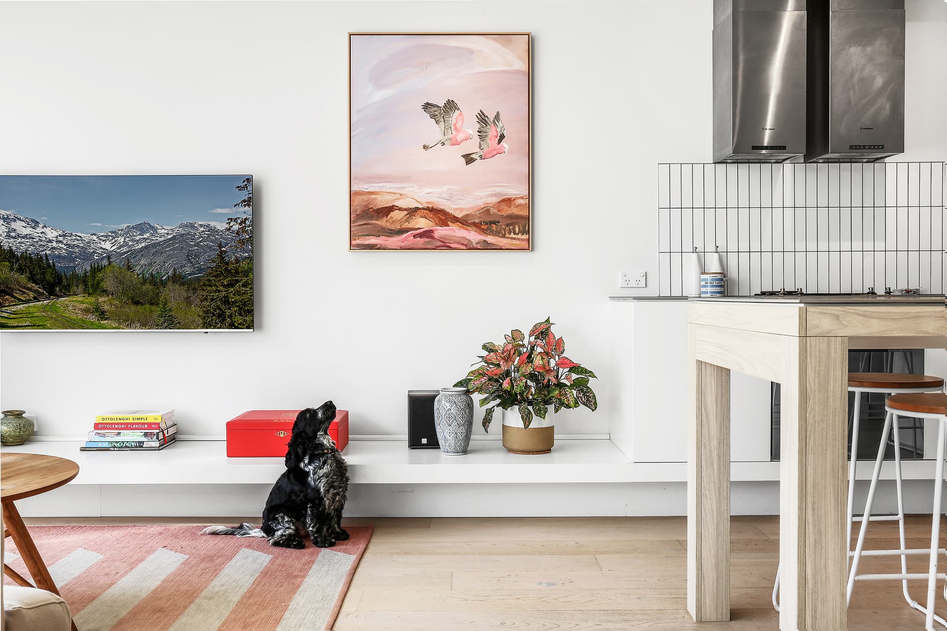 425/810 Elizabeth Street, Waterloo NSW