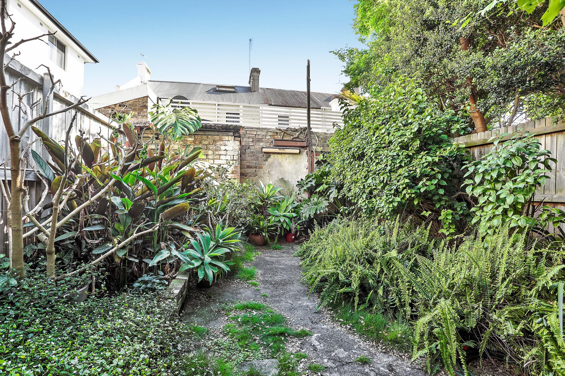 8 Chelsea Street, Redfern NSW