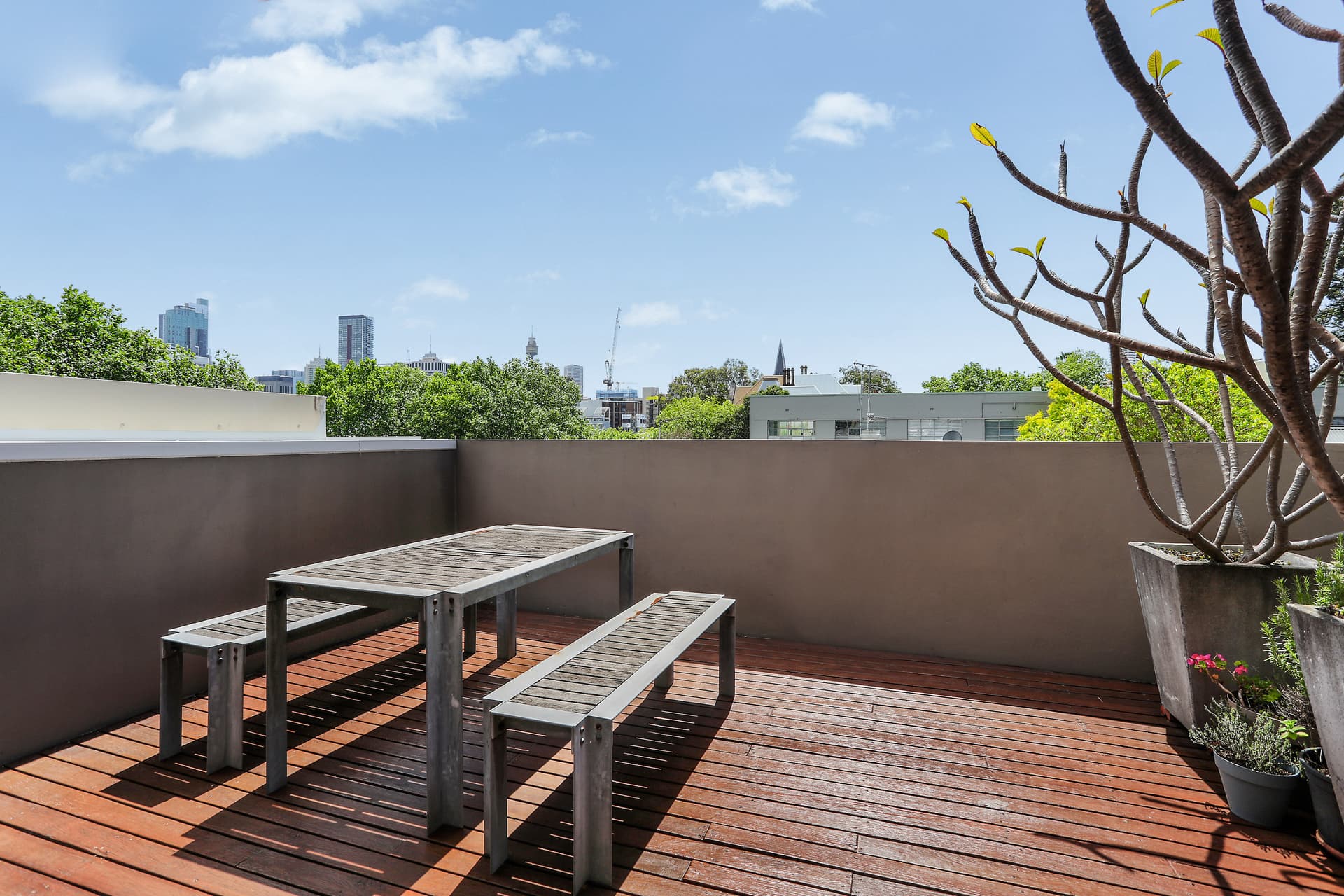 5 Jesmond Street, Surry Hills NSW