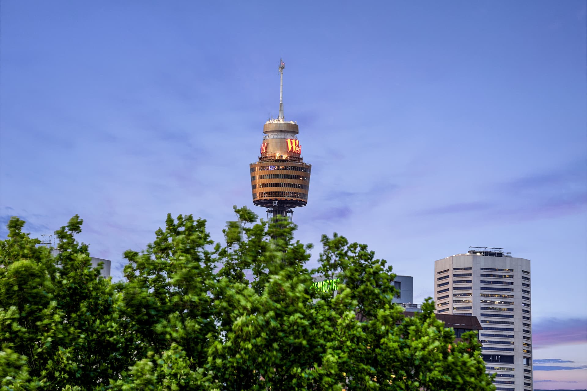 5 Jesmond Street, Surry Hills NSW