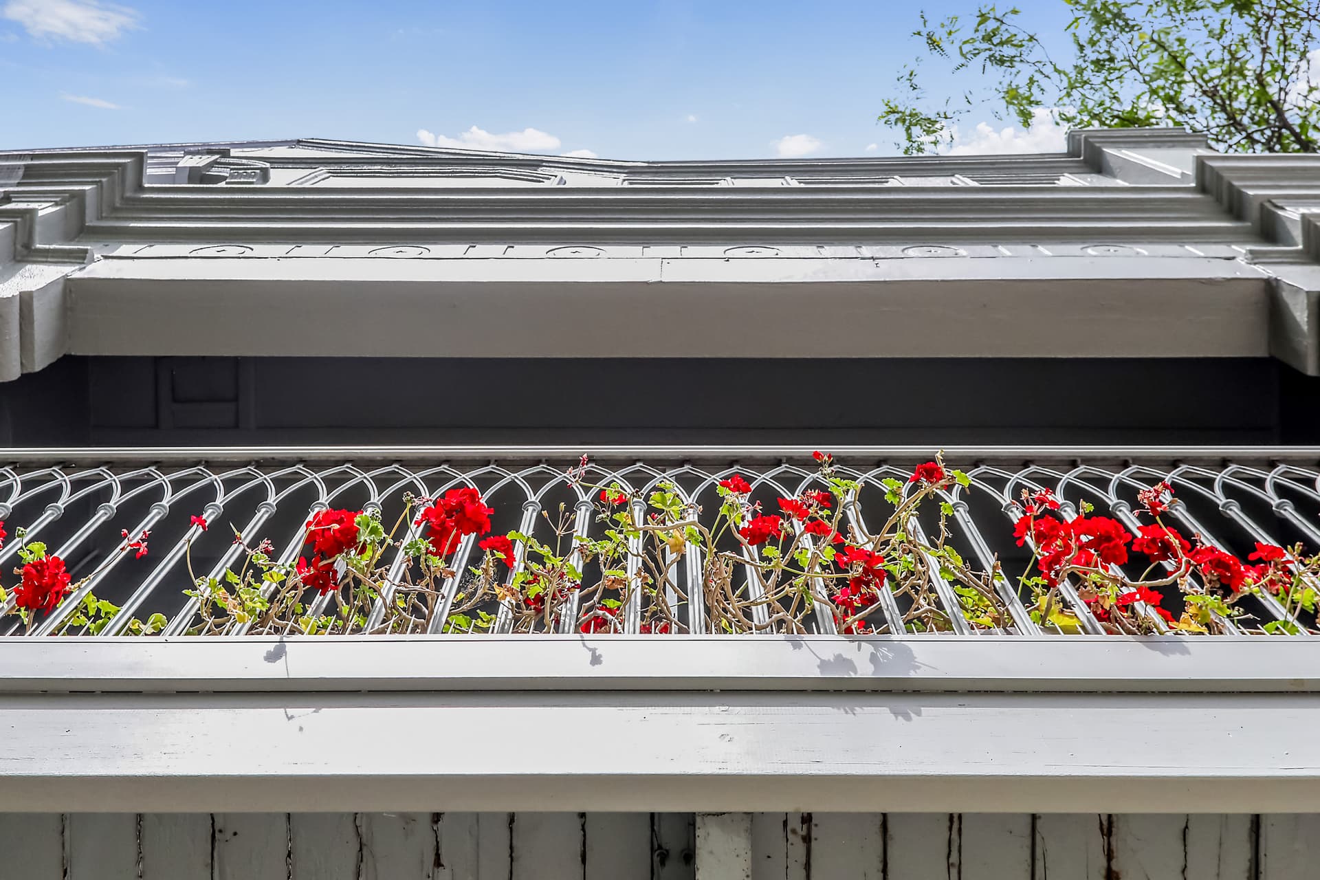 1A Zamia Street, Redfern NSW