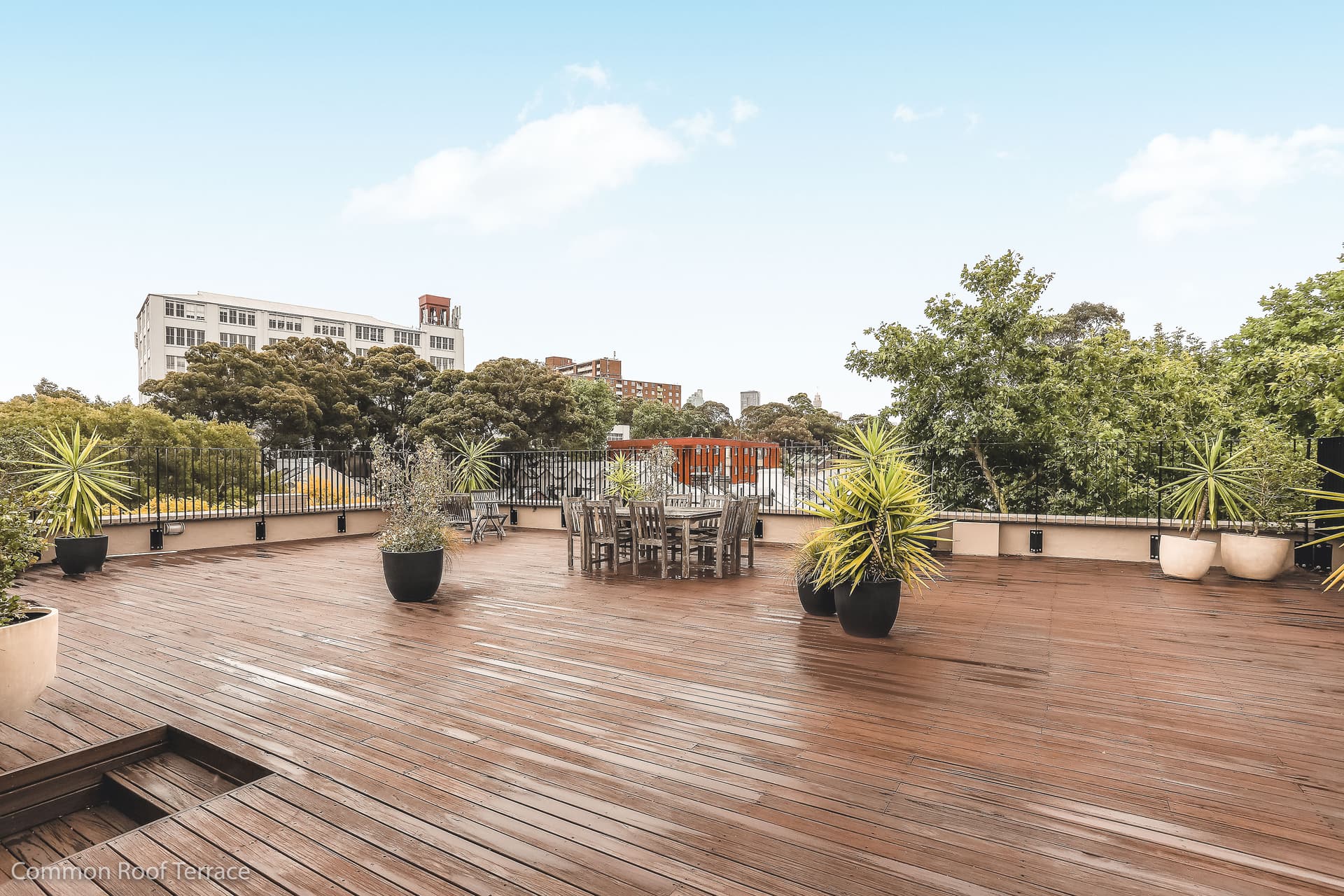 4/5 Cleveland Avenue, Surry Hills NSW