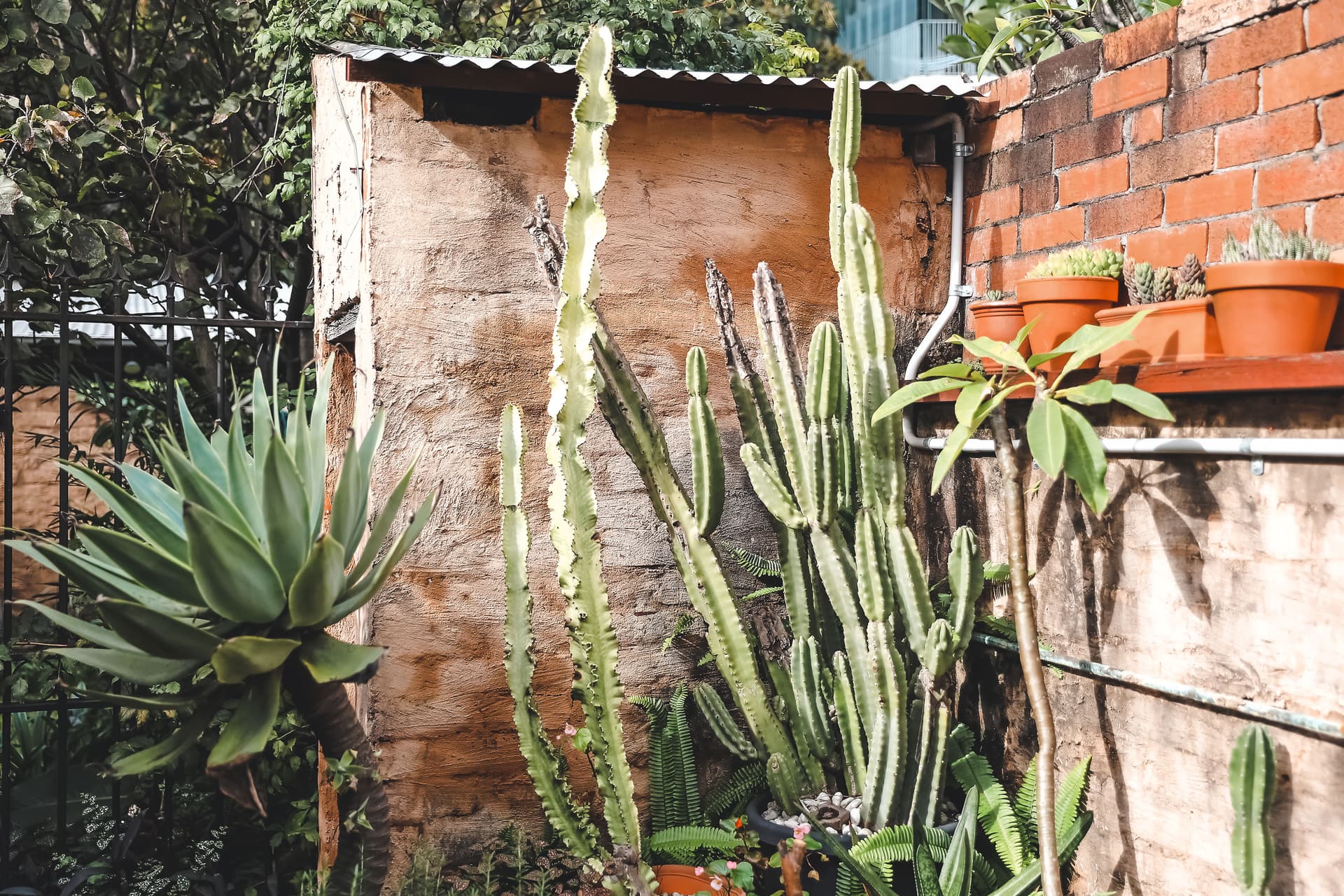 886 Elizabeth Street, Zetland NSW