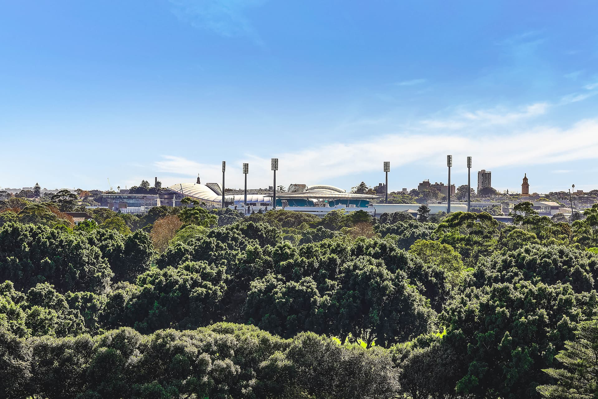 1204/95 Brompton Road, Kensington NSW