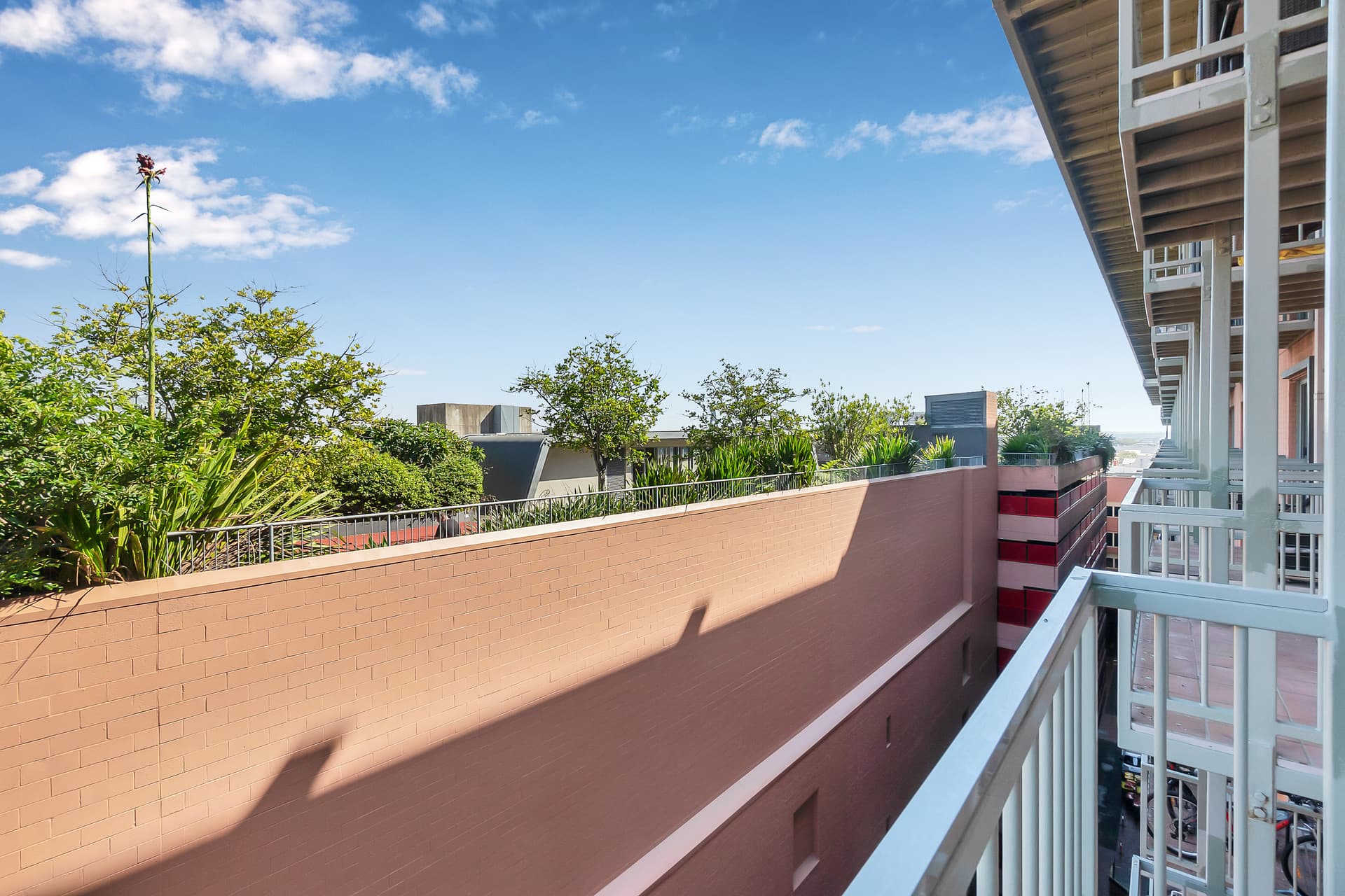 1003/243 Pyrmont Street, Pyrmont NSW