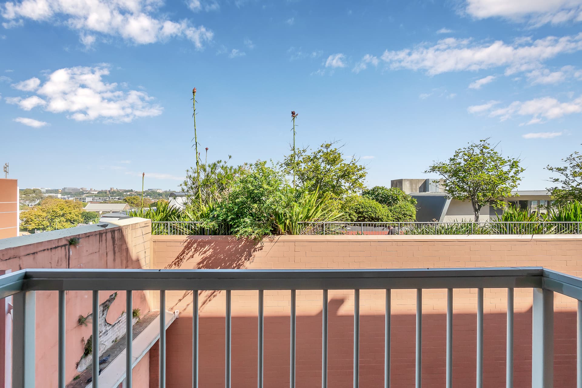 1003/243 Pyrmont Street, Pyrmont NSW