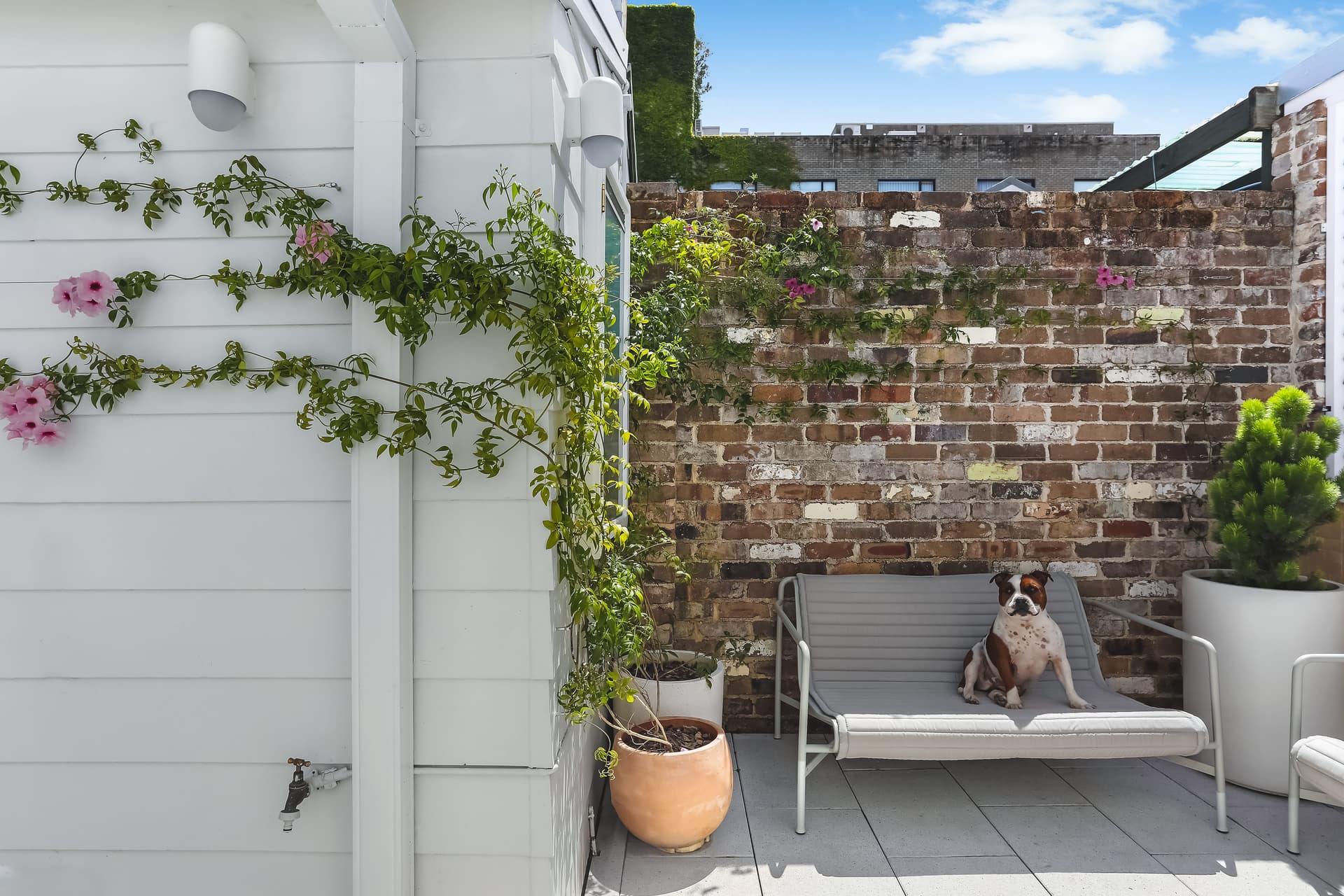 11 Great Buckingham Street, Redfern NSW