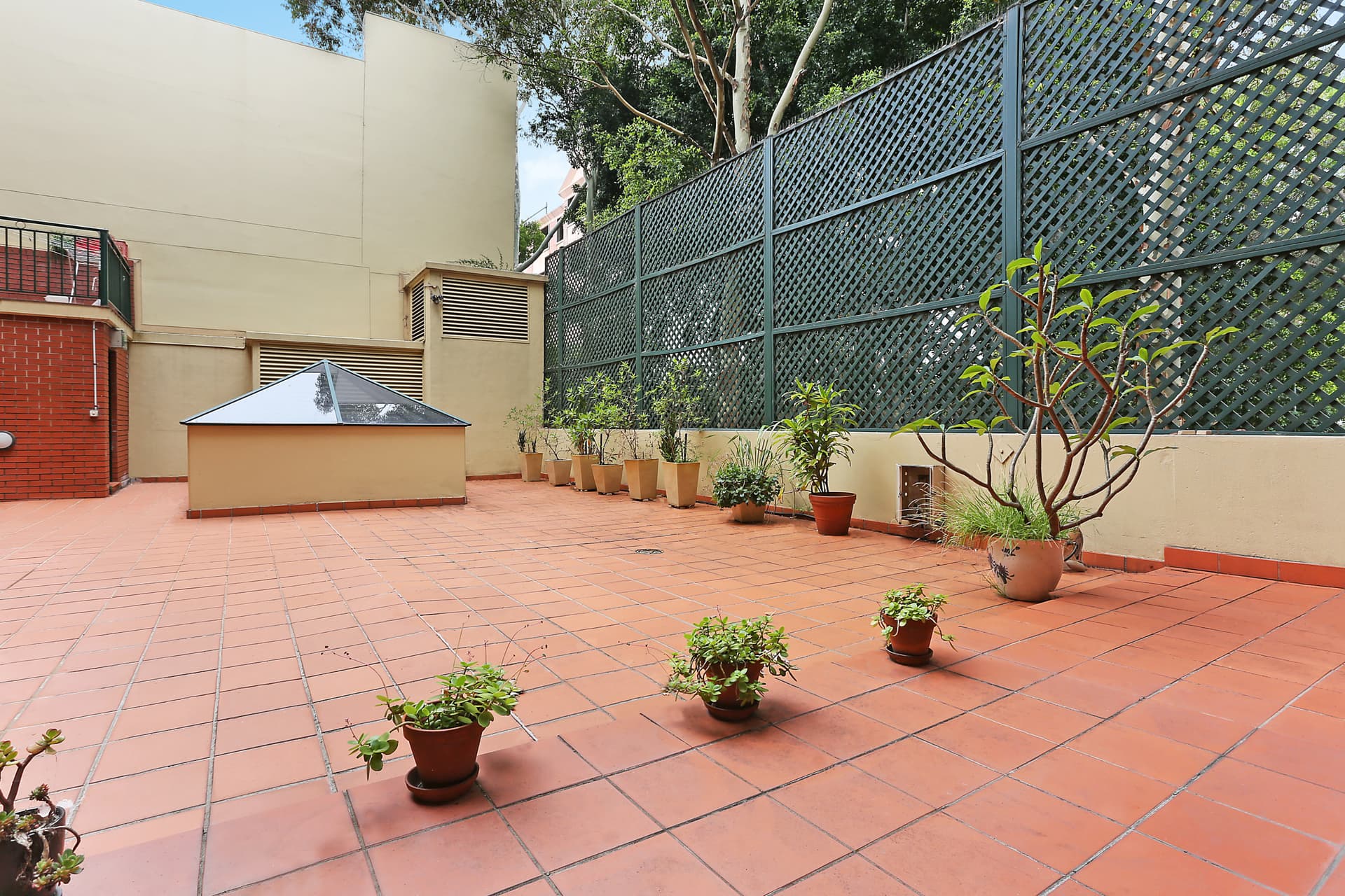 10/558 Jones Street, Ultimo NSW